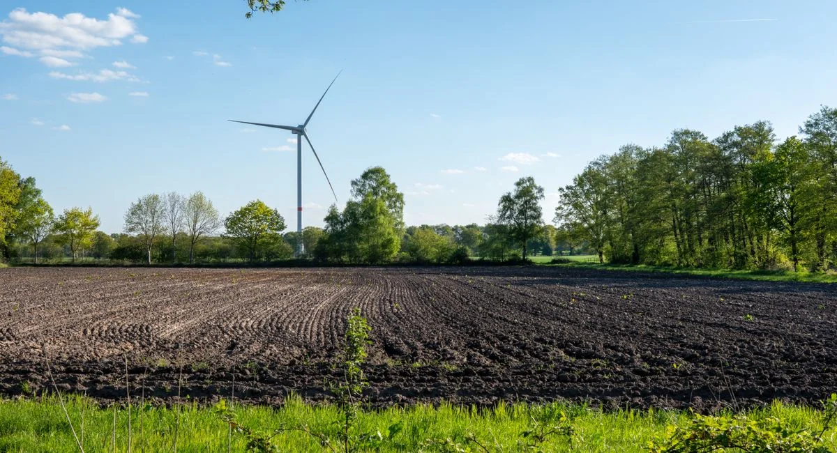 Combien rapporte vraiment 1 hectare de panneaux solaires : les chiffres que les développeurs ne vous disent pas ?