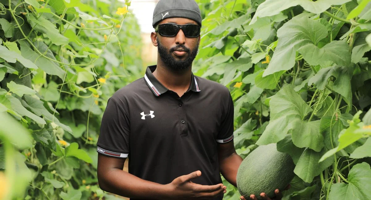 L'agriculture éco-responsable pour sericulteurs et horticulteurs : 4 leviers concrets pour une transition réelle