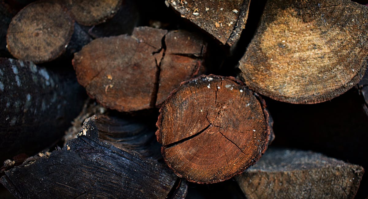 Je cherche du bois de chauffage pas trop cher : ce que les vendeurs ne vous disent pas