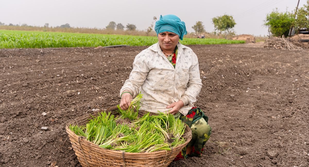 Faut-il vraiment croire à l'agriculture éco-responsable ?